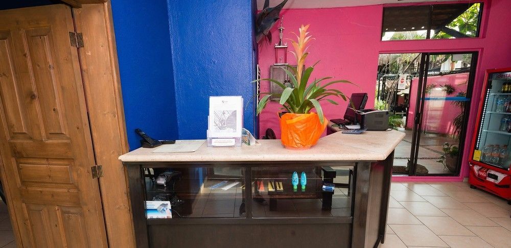 Siesta Suites Boutique Hotel Κάβο σαν Λούκας Εξωτερικό φωτογραφία